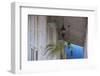 Cuba, Trinidad, Plaza Mayor, Museo De Arqitectura Trinitaria - Trinidad Architecture Museum-Jane Sweeney-Framed Photographic Print