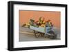 Cuba, Trinidad, Wheelbarrow with Fruit and Vegetables-Merrill Images-Framed Photographic Print