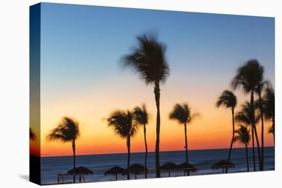 Cuba, Varadero, Palm Trees on Varadero Beach at Sunset-Jane Sweeney-Stretched Canvas