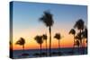 Cuba, Varadero, Palm Trees on Varadero Beach at Sunset-Jane Sweeney-Stretched Canvas