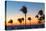 Cuba, Varadero, Palm Trees on Varadero Beach at Sunset-Jane Sweeney-Stretched Canvas