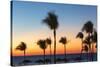 Cuba, Varadero, Palm Trees on Varadero Beach at Sunset-Jane Sweeney-Stretched Canvas