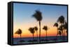 Cuba, Varadero, Palm Trees on Varadero Beach at Sunset-Jane Sweeney-Framed Stretched Canvas