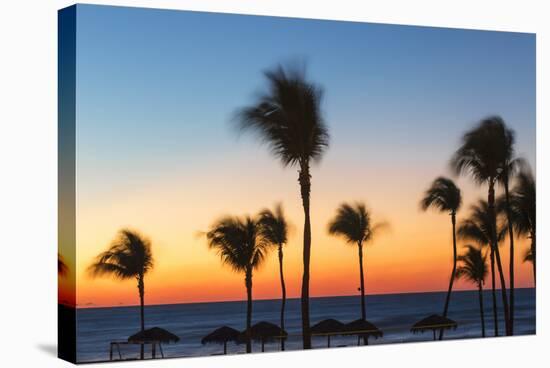 Cuba, Varadero, Palm Trees on Varadero Beach at Sunset-Jane Sweeney-Stretched Canvas