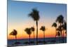 Cuba, Varadero, Palm Trees on Varadero Beach at Sunset-Jane Sweeney-Mounted Photographic Print
