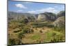 Cuba, Vinales. a View Looking over the Rich Lands of the Valley-Brenda Tharp-Mounted Photographic Print