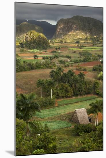 Cuba, Vinales. an Elevated View over the Valley and its Fields and Farms-Brenda Tharp-Mounted Photographic Print