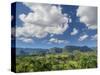 Cuba, Vinales, tobacco fields and limestone hills-Merrill Images-Stretched Canvas