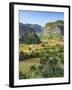 Cuba, Vinales, tobacco fields and limestone hills-Merrill Images-Framed Premium Photographic Print