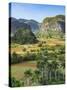 Cuba, Vinales, tobacco fields and limestone hills-Merrill Images-Stretched Canvas