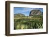 Cuba, Vinales. Tobacco Leaves Dry Outdoors on Racks on a Traditional Farm-Brenda Tharp-Framed Photographic Print