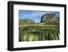 Cuba, Vinales. Tobacco Leaves Dry Outdoors on Racks on a Traditional Farm-Brenda Tharp-Framed Photographic Print