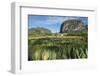 Cuba, Vinales. Tobacco Leaves Dry Outdoors on Racks on a Traditional Farm-Brenda Tharp-Framed Photographic Print