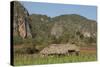 Cuba, Vinales, Valley with Tobacco Farms and Karst Hills-Merrill Images-Stretched Canvas