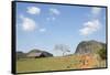 Cuba, Vinales, Valley with Tobacco Farms and Karst Hills-Merrill Images-Framed Stretched Canvas