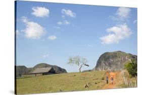 Cuba, Vinales, Valley with Tobacco Farms and Karst Hills-Merrill Images-Stretched Canvas
