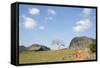 Cuba, Vinales, Valley with Tobacco Farms and Karst Hills-Merrill Images-Framed Stretched Canvas