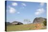 Cuba, Vinales, Valley with Tobacco Farms and Karst Hills-Merrill Images-Stretched Canvas