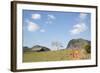 Cuba, Vinales, Valley with Tobacco Farms and Karst Hills-Merrill Images-Framed Photographic Print