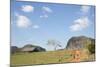 Cuba, Vinales, Valley with Tobacco Farms and Karst Hills-Merrill Images-Mounted Photographic Print