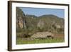 Cuba, Vinales, Valley with Tobacco Farms and Karst Hills-Merrill Images-Framed Photographic Print