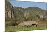Cuba, Vinales, Valley with Tobacco Farms and Karst Hills-Merrill Images-Mounted Photographic Print