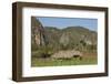 Cuba, Vinales, Valley with Tobacco Farms and Karst Hills-Merrill Images-Framed Photographic Print