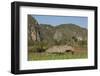 Cuba, Vinales, Valley with Tobacco Farms and Karst Hills-Merrill Images-Framed Photographic Print