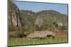 Cuba, Vinales, Valley with Tobacco Farms and Karst Hills-Merrill Images-Mounted Photographic Print