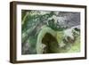 Cuba-Art Wolfe-Framed Photographic Print