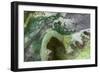 Cuba-Art Wolfe-Framed Photographic Print