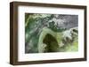 Cuba-Art Wolfe-Framed Photographic Print