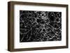 Cuba-Art Wolfe-Framed Photographic Print