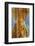 Cuba-Art Wolfe-Framed Photographic Print