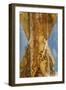 Cuba-Art Wolfe-Framed Photographic Print