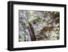 Cuba-Art Wolfe-Framed Photographic Print