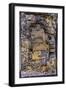 Cuba-Art Wolfe-Framed Photographic Print