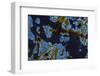 Cuba-Art Wolfe-Framed Photographic Print