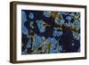 Cuba-Art Wolfe-Framed Photographic Print