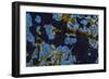 Cuba-Art Wolfe-Framed Photographic Print