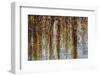 Cuba-Art Wolfe-Framed Photographic Print