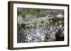 Cuba-Art Wolfe-Framed Photographic Print