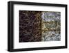 Cuba-Art Wolfe-Framed Photographic Print