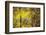 Cuba-Art Wolfe-Framed Photographic Print