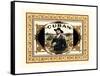 Cuban Cigars-Vision Studio-Framed Stretched Canvas