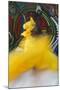 Cuban Dancer in Motion, Callejon De Hamel, Cuba-Adam Jones-Mounted Photographic Print