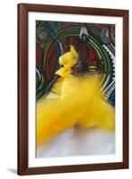 Cuban Dancer in Motion, Callejon De Hamel, Cuba-Adam Jones-Framed Photographic Print