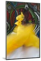 Cuban Dancer in Motion, Callejon De Hamel, Cuba-Adam Jones-Mounted Photographic Print