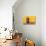 Cuban Flag Hanging on a Door in Trinidad, Cuba-Sabino Parente-Photographic Print displayed on a wall