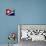 Cuban Flag Painted on Wall, Varadero, Matanzas, Cuba-Martin Lladã³-Photographic Print displayed on a wall